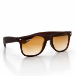 WAYFARER SUNGLASSES