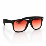 WAYFARER SUNGLASSES