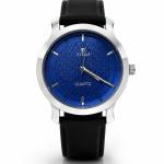 Titan watch