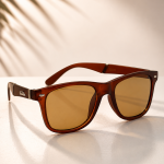 WAYFARER SUNGLASSES