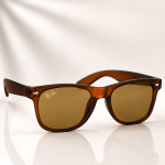WAYFARER SUNGLASSES