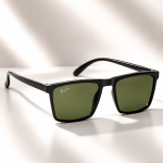 WAYFARER SUNGLASSES