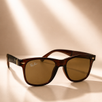 WAYFARER SUNGLASSES