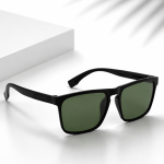 WAYFARER SUNGLASSES