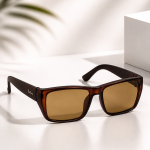 WAYFARER SUNGLASSES