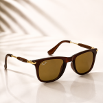 WAYFARER SUNGLASSES