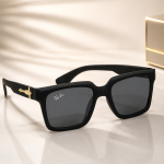 WAYFARER SUNGLASSES