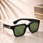 WAYFARER SUNGLASSES